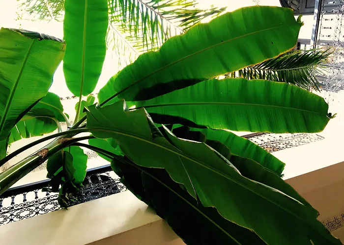 Riad TawargitHotel Marrakech